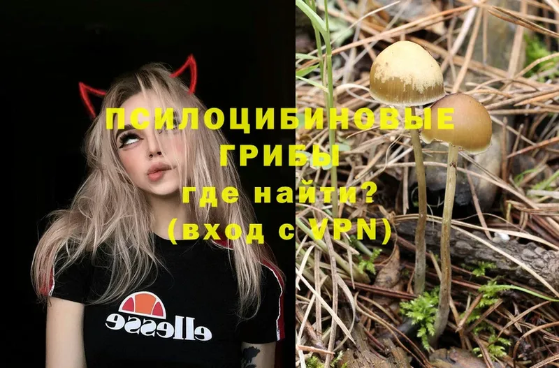 наркота  Верхоянск  Галлюциногенные грибы MAGIC MUSHROOMS 